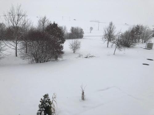 a snow covered field with trees and bushes at Im Feldle in Kirchheim am Ries