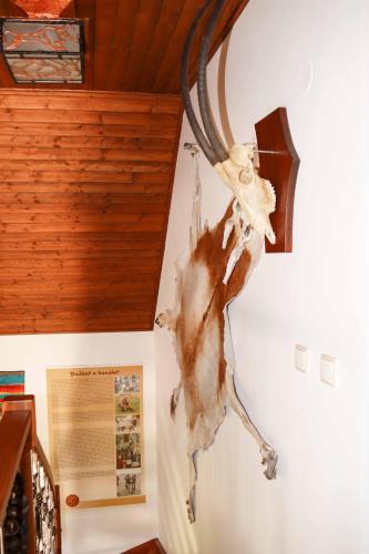 Fotografie z fotogalerie ubytování apartmán u Vágnera v destinaci Dvůr Králové nad Labem