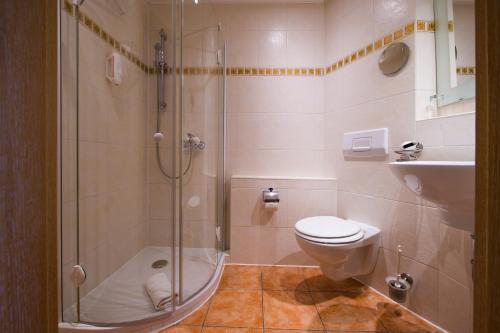 een badkamer met een douche, een toilet en een wastafel bij Panoramagasthof auf dem Auerberg in Bernbeuren