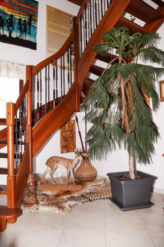 Fotografie z fotogalerie ubytování apartmán u Vágnera v destinaci Dvůr Králové nad Labem
