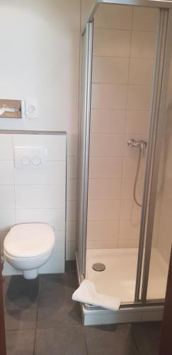 a bathroom with a toilet and a shower stall at Hotel Haus Hubertus in Schneverdingen