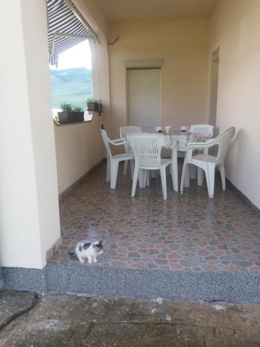 a cat walking on a patio with a table and chairs at Apartment Sky in Korenica
