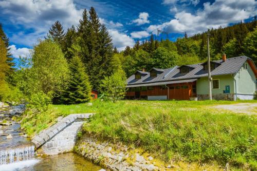 a house next to a river in a forest at Chata pod Mravenečníkem in Loučná nad Desnou