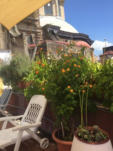 Κήπος έξω από το B&B La Terrazza Napoli
