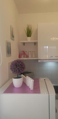 - un comptoir de cuisine avec une fleur violette dans un bol dans l'établissement Apartment Rosana, à Rabac