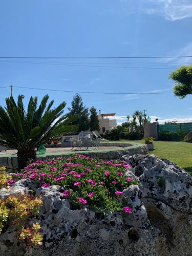 Zahrada ubytování B&B Villa Grassi