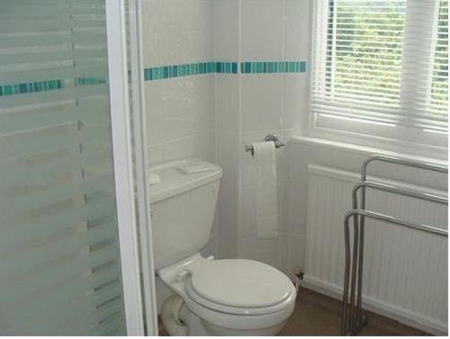 een witte badkamer met een toilet en een douche bij The Abbey Inn in Buckfastleigh