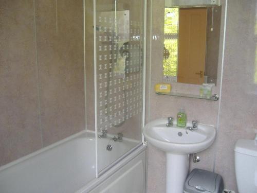 a bathroom with a sink and a toilet and a shower at South Moor Farm in Scarborough