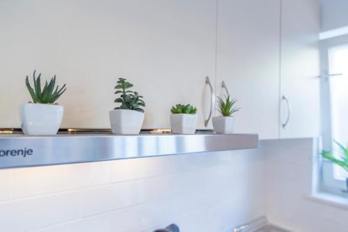 four potted plants sitting on a counter in a kitchen at Historic center Hvar town- a few steps from the main square in Hvar