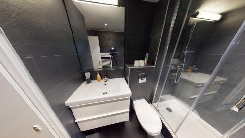 une salle de bain avec un lavabo, une douche et des toilettes dans l'établissement Loft des Arcades *** – City center, à Strasbourg