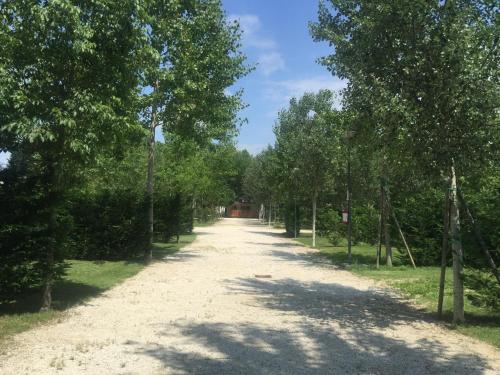 polna droga z drzewami po obu stronach w obiekcie Camping Venezia Village w Mestre
