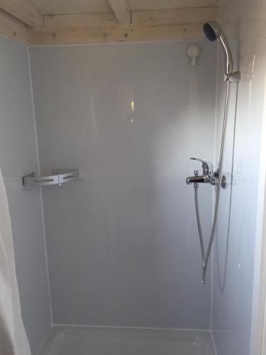 a bathroom with a shower with a shower head at Tinyhouse Bamberg in Pettstadt
