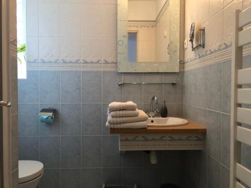 a bathroom with a sink and a toilet and a mirror at Le Cèdre Bleu in Grosrouvre