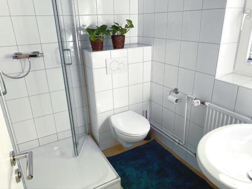 Et badeværelse på Historische Ferienwohnung mit Kamin in Lich