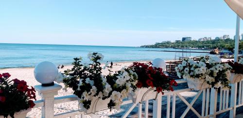 a row of white chairs with flowers on a beach at Shalanda in Odesa