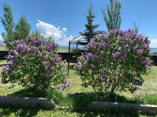 PARADISE VILLA in Sevan – Fotoşəkillər 3