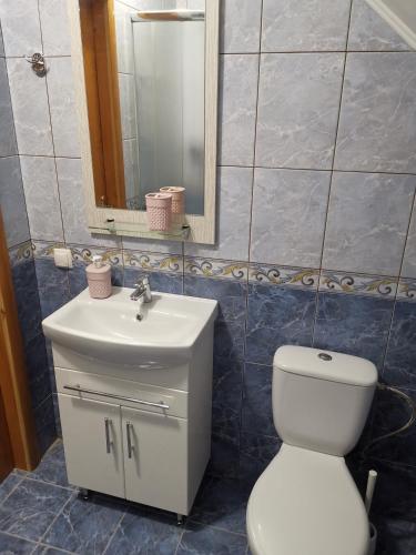 a bathroom with a toilet and a sink and a mirror at Номер в приватному будинку in Morshin