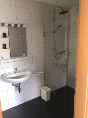 a bathroom with a sink and a shower at Gästehaus Glock II in Marbach am Neckar