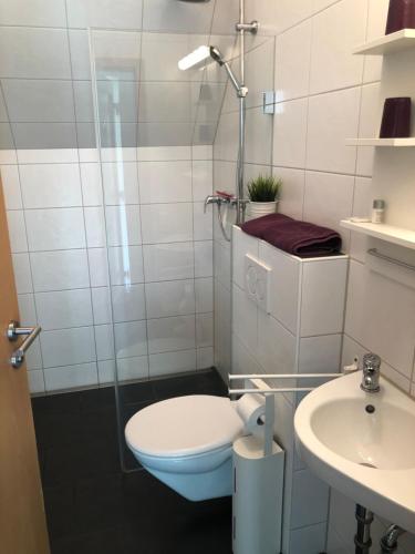 een badkamer met een toilet en een wastafel bij Gästehaus Glock II in Marbach am Neckar