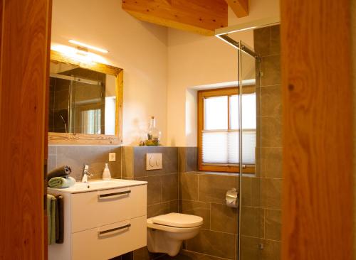 a bathroom with a toilet and a sink and a shower at Landhaus Mair in Scharnitz