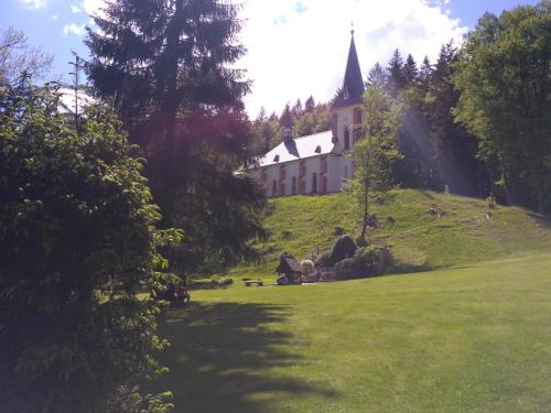 Příroda nedaleko apartmánu