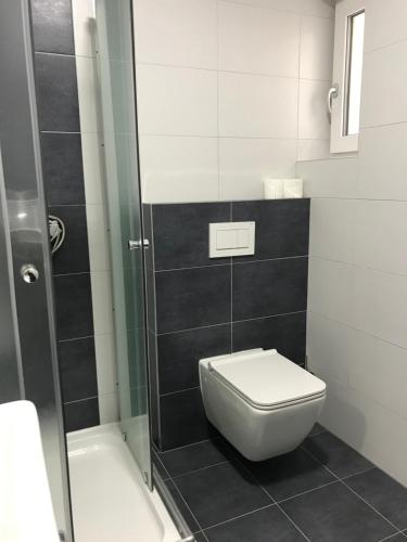 a bathroom with a toilet and a shower at Apartmán NA KOPCI Krucemburk in Křížová
