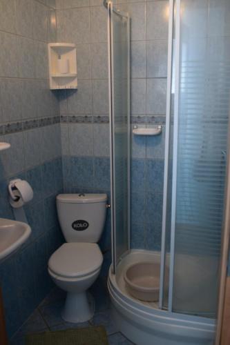a bathroom with a toilet and a shower and a sink at U Rybaka (pokoje) in Jezierzany