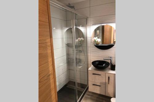 a bathroom with a shower with a sink and a mirror at Chamonix sud -Le Grepon in Chamonix-Mont-Blanc