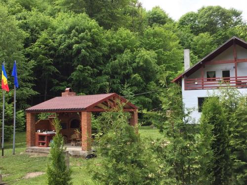 a small building in the grass next to a house at Cabana Khaliope in Floroaia Mică