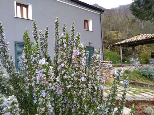 a garden with purple and white flowers in front of a house at La Locanda dei Cavalieri in Mormanno