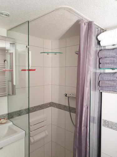 a bathroom with a shower and a sink at Monteur-Fremdenzimmer - Petit Quartier in Merenberg