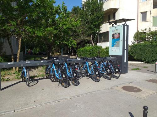 a row of blue bikes parked in a parking lot at Apartament Promenada, 3 camere, langa Cazino, Faleza, Acvariu, Port Tomis, Plaja, Piata Ovidiu in Constanţa