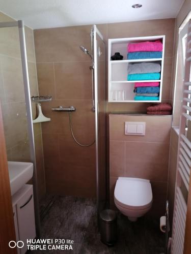 a bathroom with a toilet and a shower with towels at Fewo am Fuße der Bergbahn in Mellenbach-Glasbach
