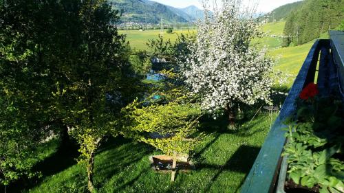 an overhead view of a tree with white flowers at Apartments Teglbauernhof, Hütte, Chalet, Mobilheim, Appartement, Ferienwohnung, Pension, Urlaub in Uttendorf