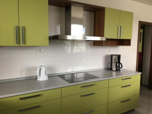 Kuchyň nebo kuchyňský kout v ubytování Apartmán Krásná vyhlídka