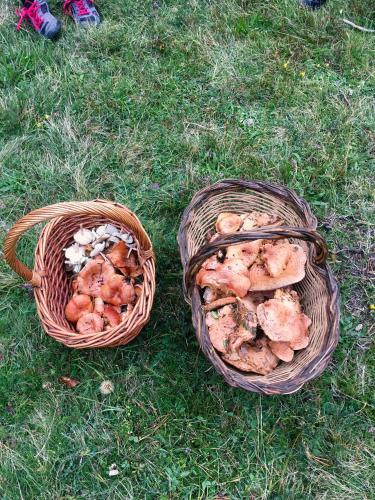two baskets of food sitting on the grass at Hostal Rural Sositana in Castejón de Sos