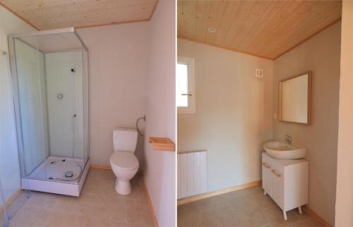 two pictures of a bathroom with a toilet and a sink at Domaine du Balbuzard in Condat-en-Combraille