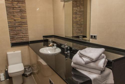La salle de bains est pourvue d'un lavabo, de toilettes et d'un miroir. dans l'établissement Plaza Apartamentos, à Binéfar