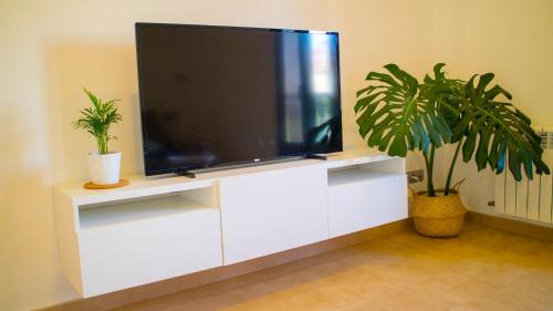 a television on a white entertainment center with two plants at Apartamentos Casa Cabana in Cambados