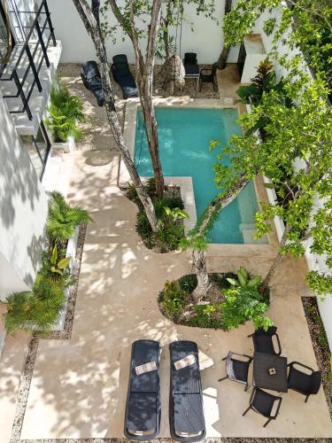 an overhead view of a swimming pool with chairs and trees at Mi Tulum in Tulum