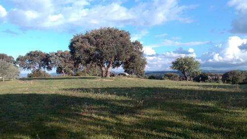 Gallery image of B&B Andrieddu in Telti