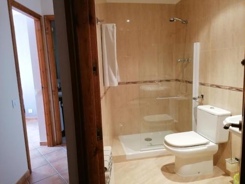 a bathroom with a white toilet and a shower at Apartaments Mitjavila in Sant Salvador de Toló