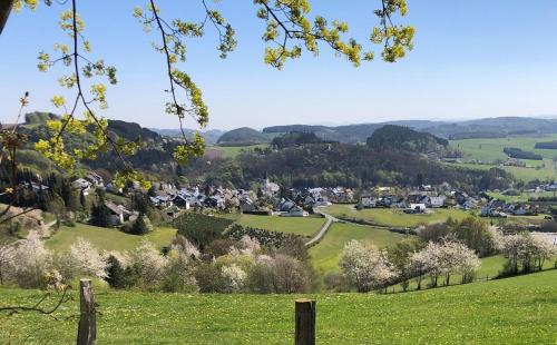 a view of a village in the hills at Fewo Auszeit zum Anspel in Medebach