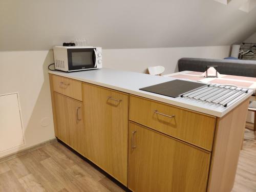 a microwave sitting on top of a kitchen counter at Penzion Bílá voda in Harrachov