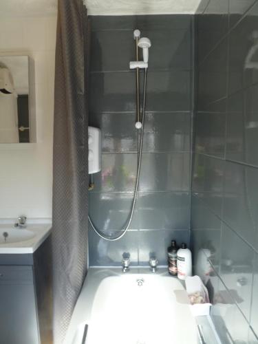 a bathroom with a shower with a shower curtain at Cosy and Peaceful Maisonette with Terrace, Kidderminster in Kidderminster