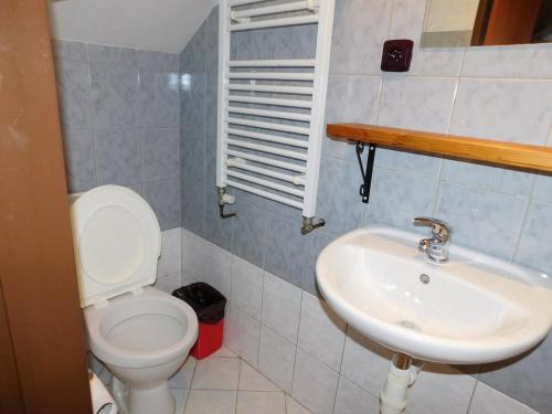 a bathroom with a toilet and a sink at Pension U Mojmíra in Rokytnice nad Jizerou