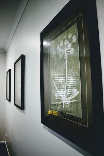 a framed picture of a tree on a wall at CocoBrew Boutique Apartments in Rockhampton