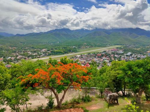 an elephant standing on a hill with trees and a city at Boondee House in Mae Hong Son