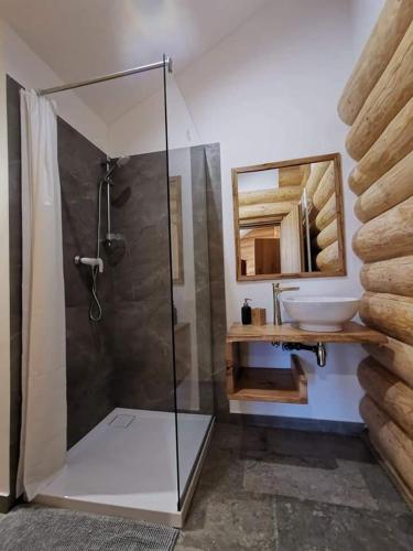 a bathroom with a shower and a sink and a mirror at Cabana Livada in Borşa