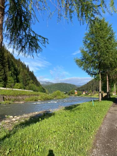 a river in a field next to a road at Садиба "Джерело" in Yaremche